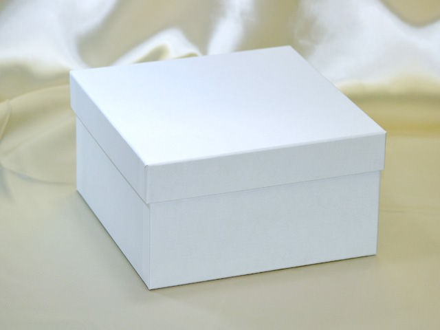 フリーボックス用紙箱（白：外観）
